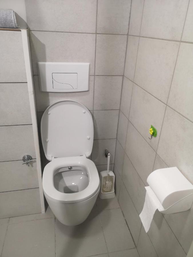 Bel Appartement, Grand Balcon Et Parking Prive 塞莱斯塔 外观 照片